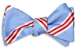 Statesman Stripe Light Blue Bow Tie