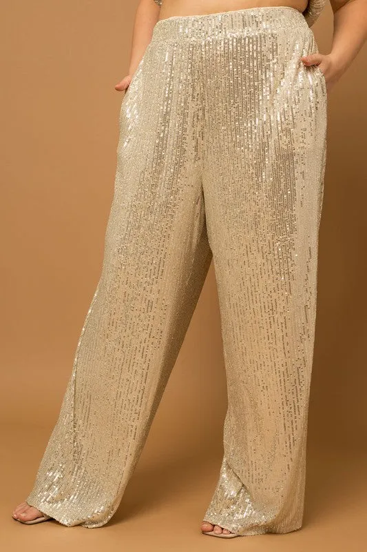 Straight Leg Sequin Pants